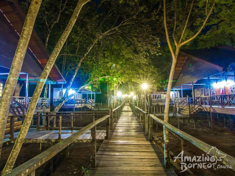 5D4N Wonders Of Kinabatangan River & Danum Valley