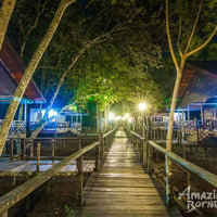 5D4N Wonders Of Kinabatangan River & Danum Valley