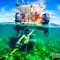 7D6N Wildlife Explorer & Magellan Sutera Resort Stay