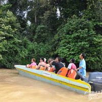 2D1N Bilit Rainforest Lodge - Sepilok Orangutan / Kinabatangan River / Gomantong Cave