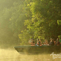 4D3N Bilit Rainforest Lodge - Sepilok Orangutan / Kinabatangan River / Gomantong Cave