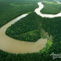 North Borneo Express & Sunset Dinner Cruise - 7 Days