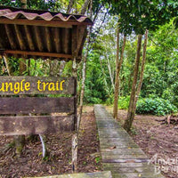 7D6N Wildlife Explorer & Magellan Sutera Resort Stay