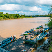 3D2N Selingan Turtle Island & Kinabatangan River Cruise Safari with Sepilok Orangutan & Bornean Sun Bear