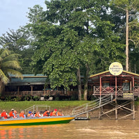 5D4N Selingan Turtle Island & Kinabatangan River Cruise Safari with Sepilok Orangutan & Bornean Sun Bear