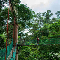 5D4N Wonders Of Kinabatangan River & Danum Valley