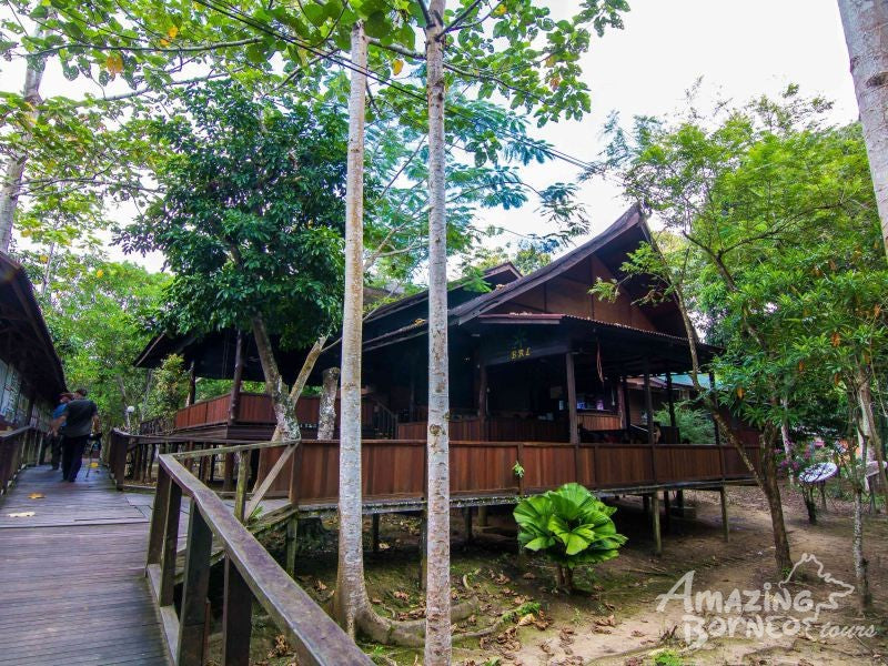 5D4N Wonders Of Kinabatangan River & Danum Valley