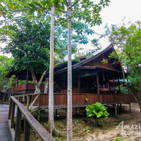 5D4N Wonders Of Kinabatangan River & Danum Valley