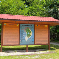 3D2N Selingan Turtle Island & Kinabatangan River Cruise Safari with Sepilok Orangutan & Bornean Sun Bear
