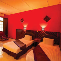 5D4N Selingan Turtle Island & Kinabatangan River Cruise Safari with Sepilok Orangutan & Bornean Sun Bear