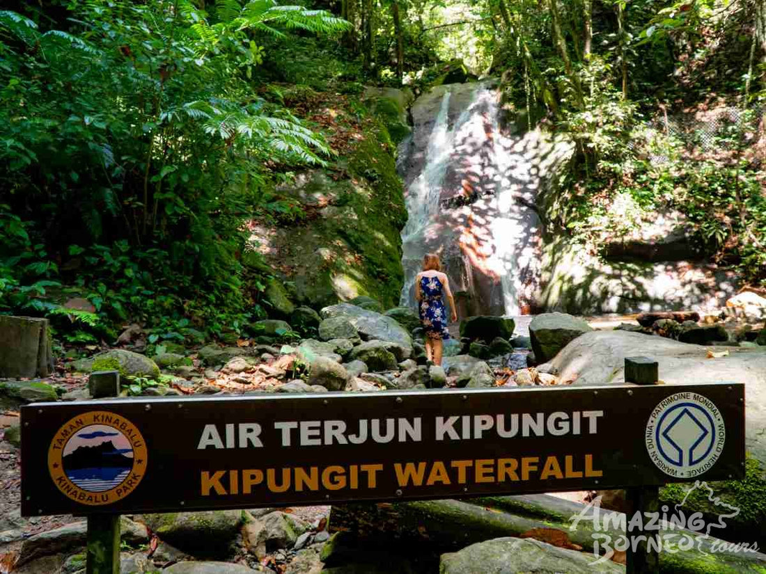 A Journey Through Sabah - 10 Days