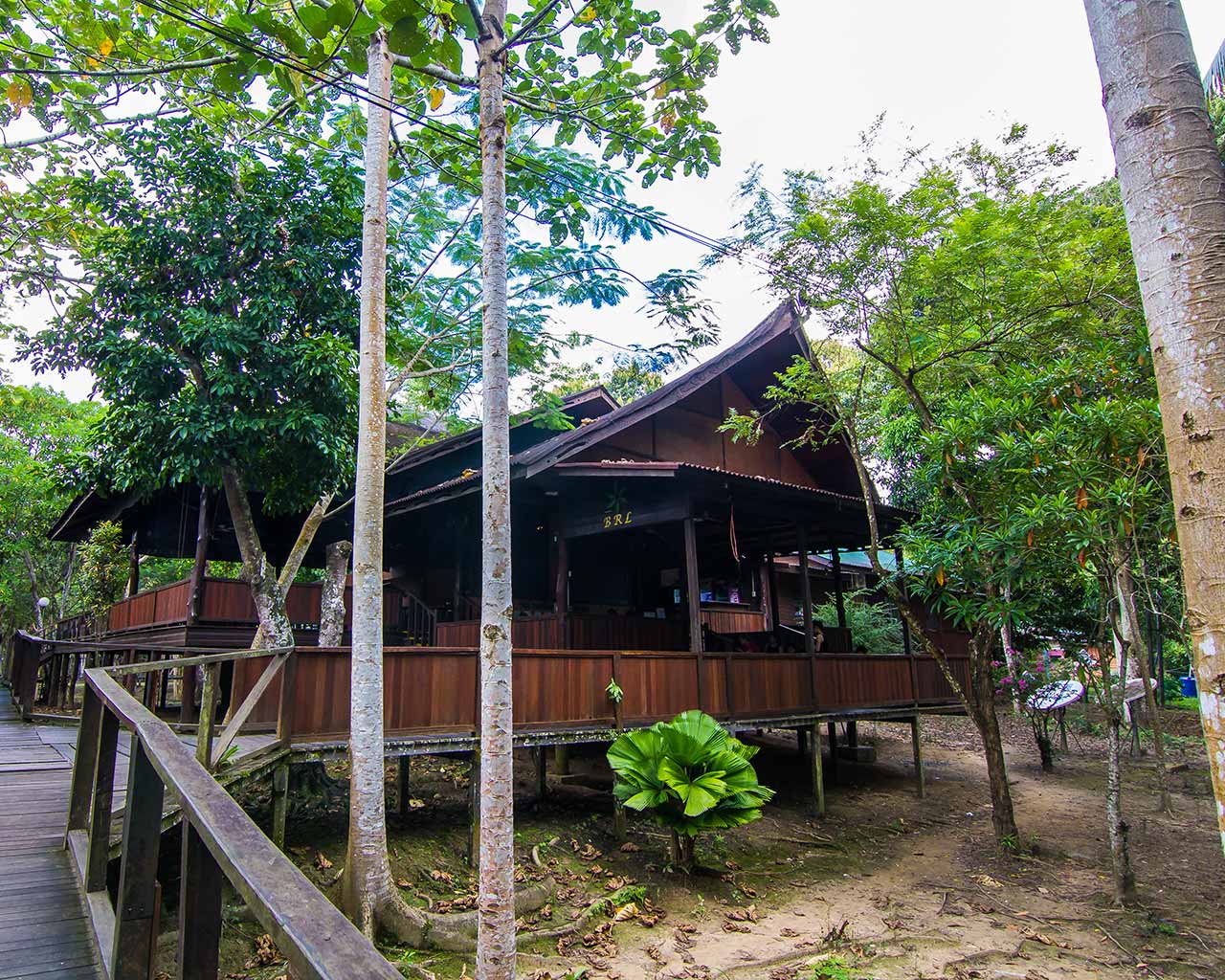 Bilit Rainforest Lodge – Sandakan Rainforest Lodge