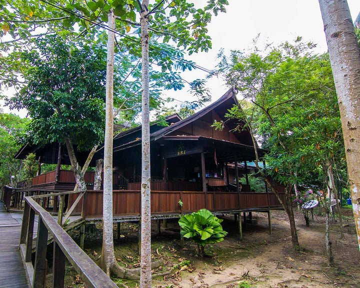 Bilit Rainforest Lodge