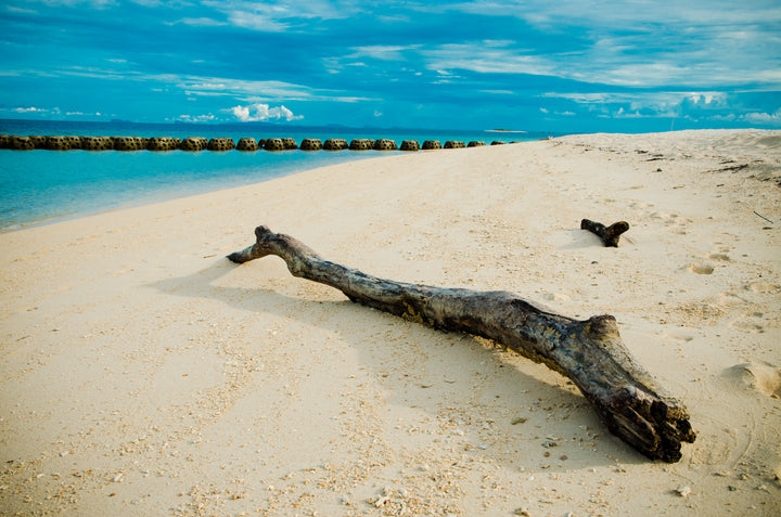 Selingan Turtle Island