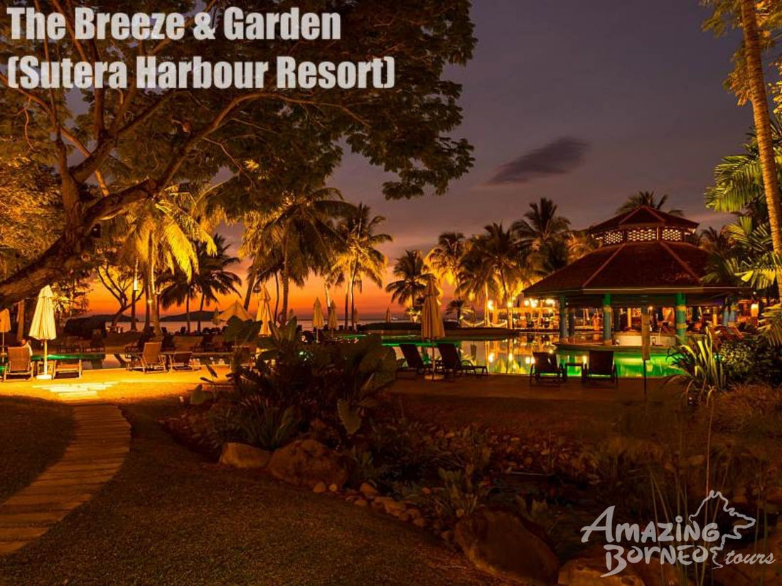 7D6N Wildlife Explorer & Magellan Sutera Resort Stay