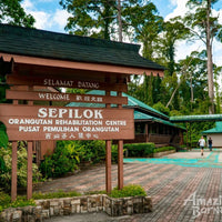 Sandakan - Sepilok Orang Utan Centre & Labuk Bay