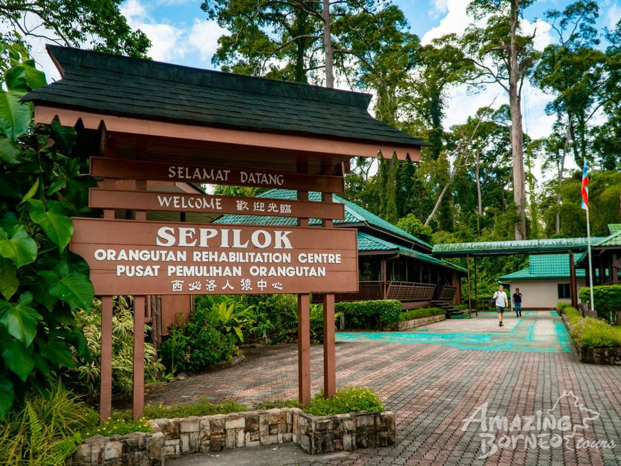 Sandakan - Sepilok Orang Utan Centre & Labuk Bay