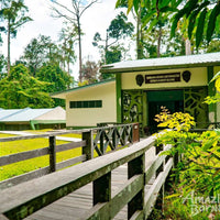 3D2N Bilit Rainforest Lodge - Sepilok Orangutan / Kinabatangan River / Gomantong Cave