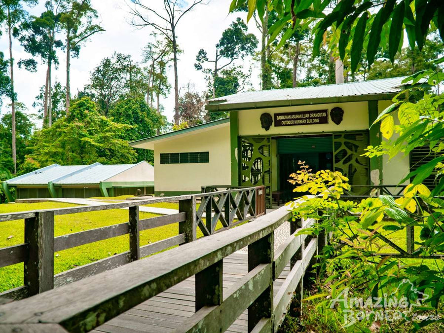 Sandakan - Sepilok Orang Utan Centre