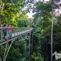 Sandakan - Sepilok Orang Utan Centre