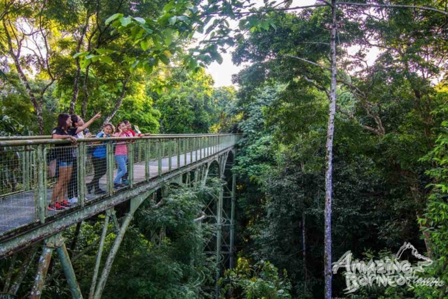 Sandakan - Sepilok Orang Utan Centre