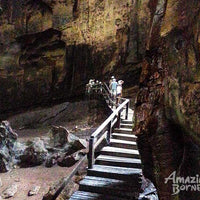 Sandakan - Gomantong Cave & Kinabatangan River Cruise