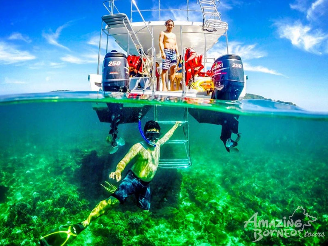 7D6N Wildlife Explorer & Magellan Sutera Resort Stay