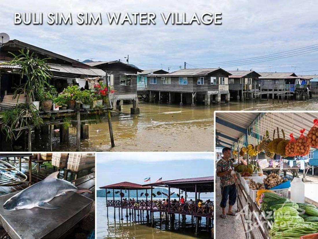 Sandakan - Sepilok Orang Utan Centre & Labuk Bay