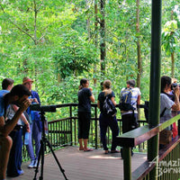 Borneo Wildlife Safari & Resort Retreat - 6 Days