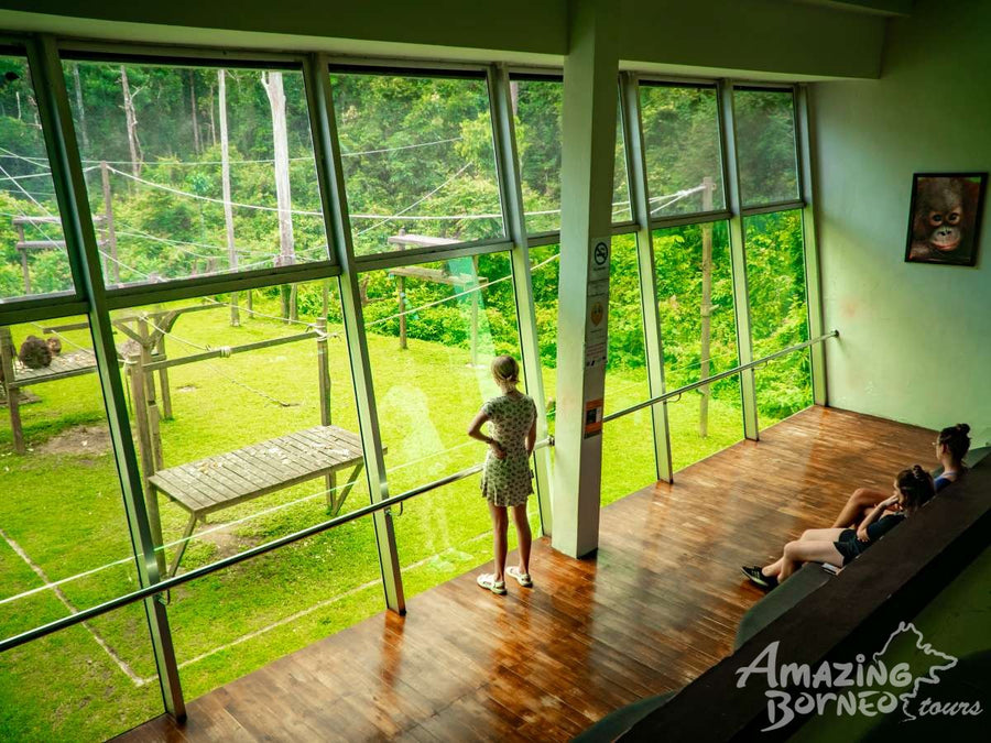 Borneo Wildlife Safari & Resort Retreat - 6 Days