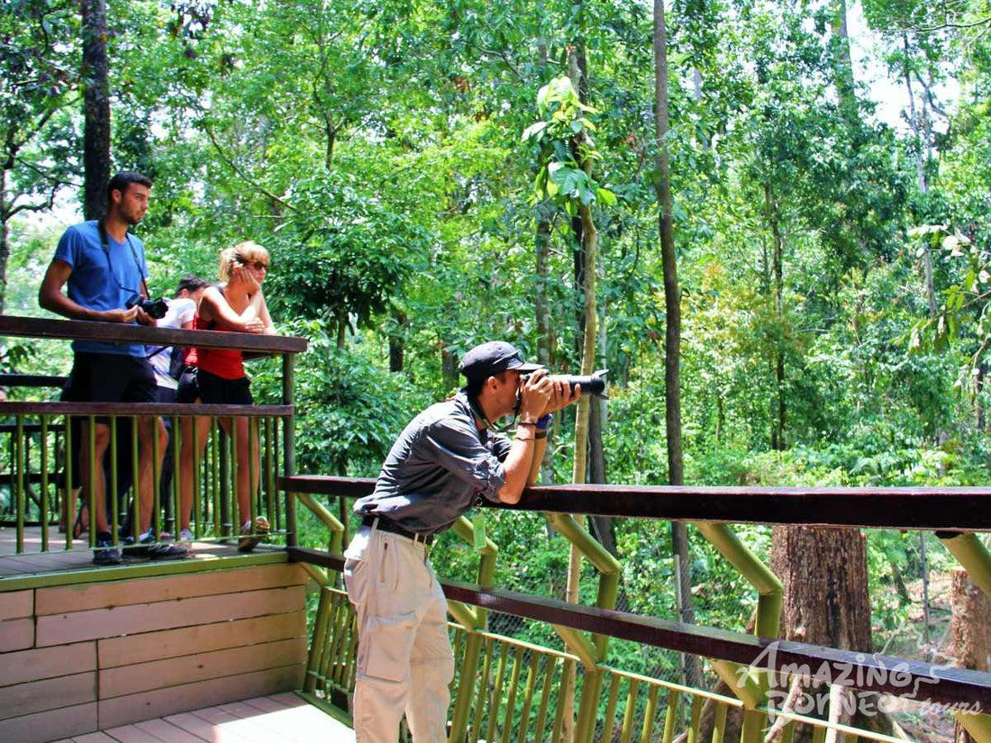 4D3N Bilit Rainforest Lodge - Sepilok Orangutan / Kinabatangan River / Gomantong Cave