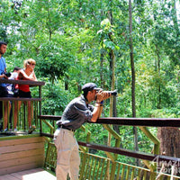 4D3N Bilit Rainforest Lodge - Sepilok Orangutan / Kinabatangan River / Gomantong Cave