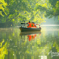 Borneo Wildlife Safari & Resort Retreat - 6 Days