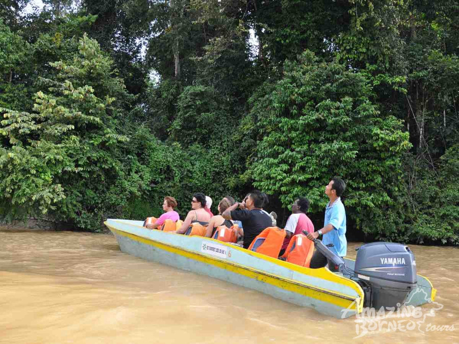 3D2N Bilit Rainforest Lodge - Sepilok Orangutan / Kinabatangan River / Gomantong Cave