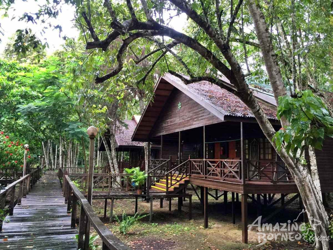 3D2N Bilit Rainforest Lodge - Sepilok Orangutan / Kinabatangan River / Gomantong Cave