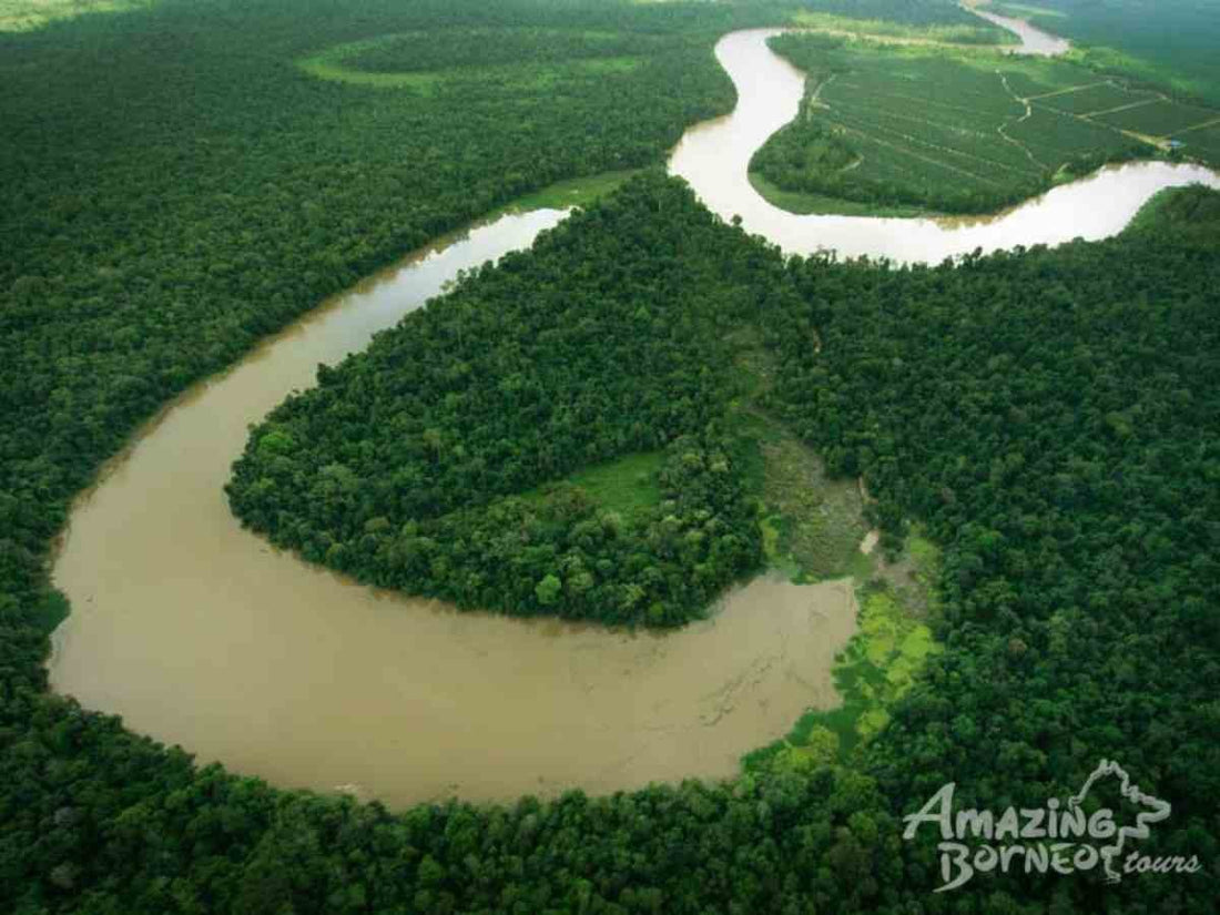 3D2N Bilit Rainforest Lodge - Sepilok Orangutan / Kinabatangan River / Gomantong Cave