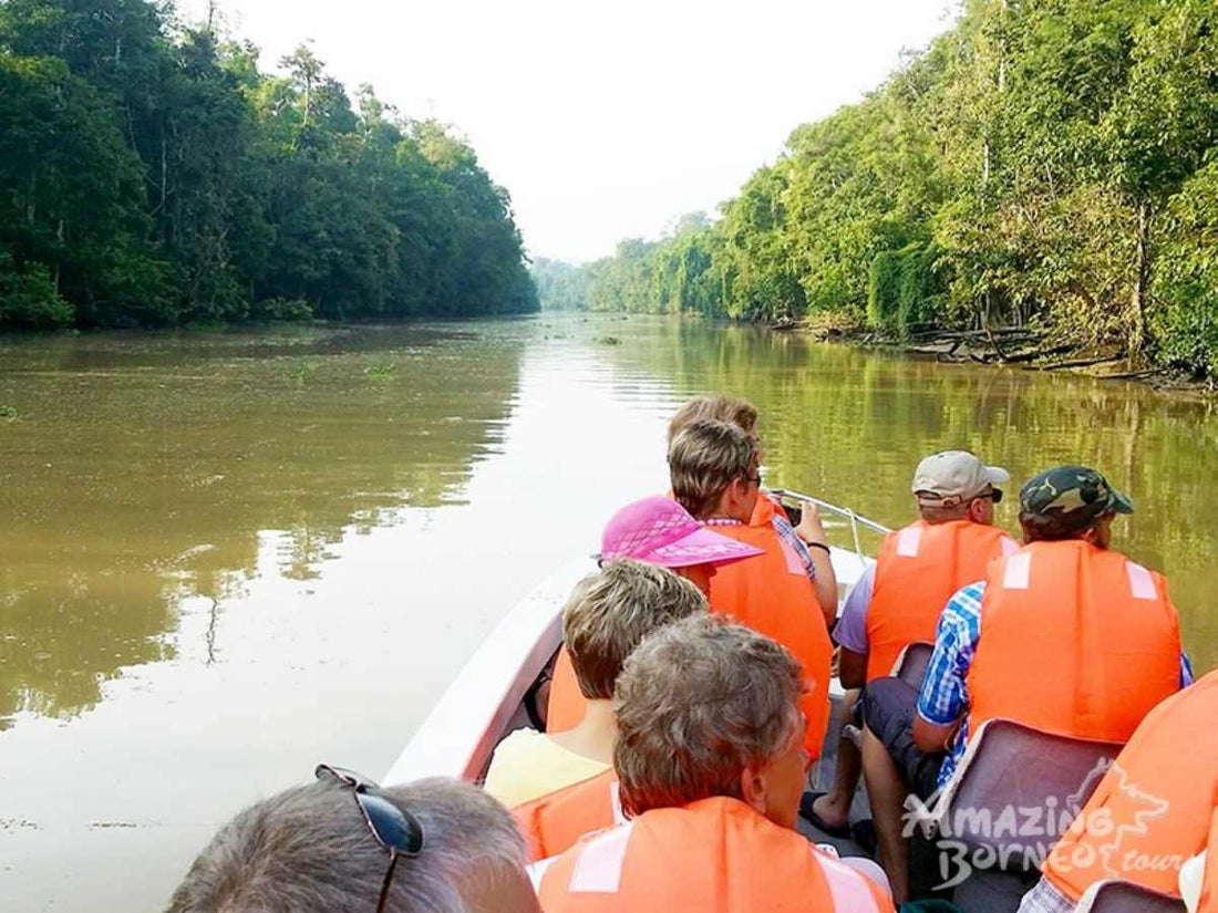 4D3N Bilit Rainforest Lodge - Sepilok Orangutan / Kinabatangan River / Gomantong Cave