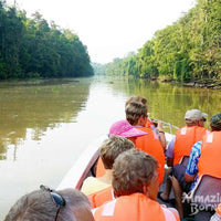 4D3N Bilit Rainforest Lodge - Sepilok Orangutan / Kinabatangan River / Gomantong Cave