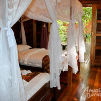 2D1N Borneo Natural Sukau Bilit Resort - Kinabatangan River Cruises & Jungle Walk