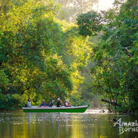 3D2N Borneo Natural Sukau Bilit Resort - Kinabatangan River Cruises & Jungle Walk