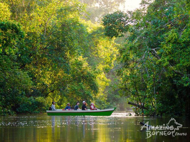 3D2N Borneo Natural Sukau Bilit Resort - Kinabatangan River Cruises & Jungle Walk