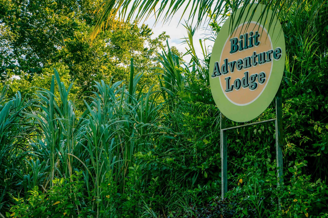3D2N Selingan Turtle Island & Kinabatangan River Cruise Safari with Sepilok Orangutan & Bornean Sun Bear