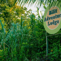 3D2N Selingan Turtle Island & Kinabatangan River Cruise Safari with Sepilok Orangutan & Bornean Sun Bear