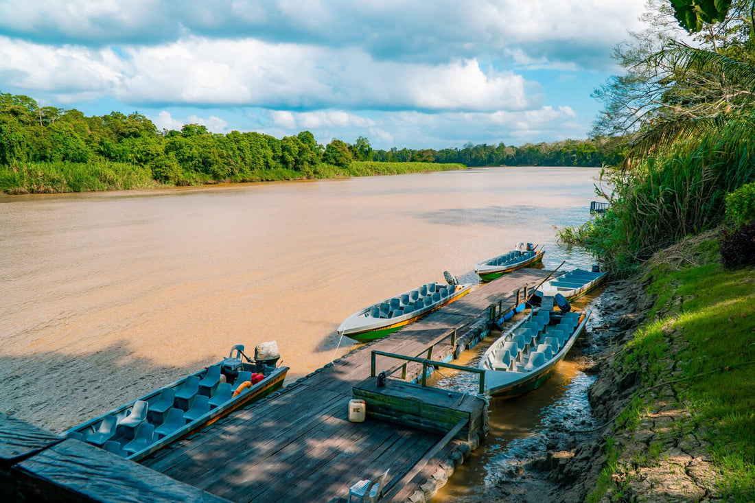 3D2N Selingan Turtle Island & Kinabatangan River Cruise Safari with Sepilok Orangutan & Bornean Sun Bear
