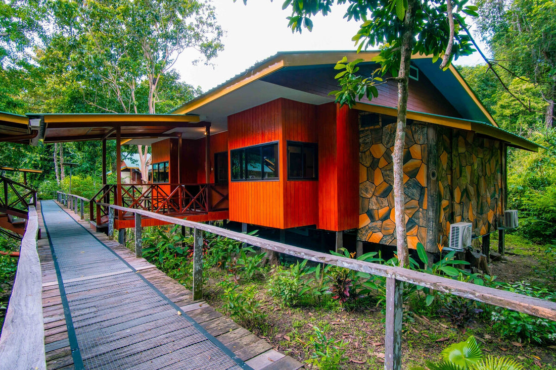 3D2N Selingan Turtle Island & Kinabatangan River Cruise Safari with Sepilok Orangutan & Bornean Sun Bear