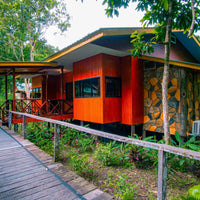 3D2N Selingan Turtle Island & Kinabatangan River Cruise Safari with Sepilok Orangutan & Bornean Sun Bear