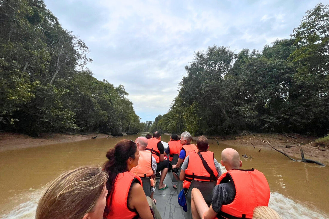 3D2N Kinabatangan River Cruise Safari with Bilit Adventure Lodge Stay
