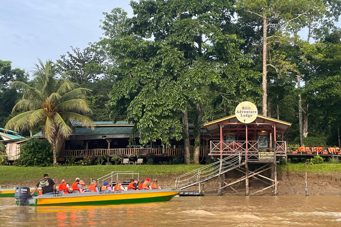 5D4N Selingan Turtle Island & Kinabatangan River Cruise Safari with Sepilok Orangutan & Bornean Sun Bear