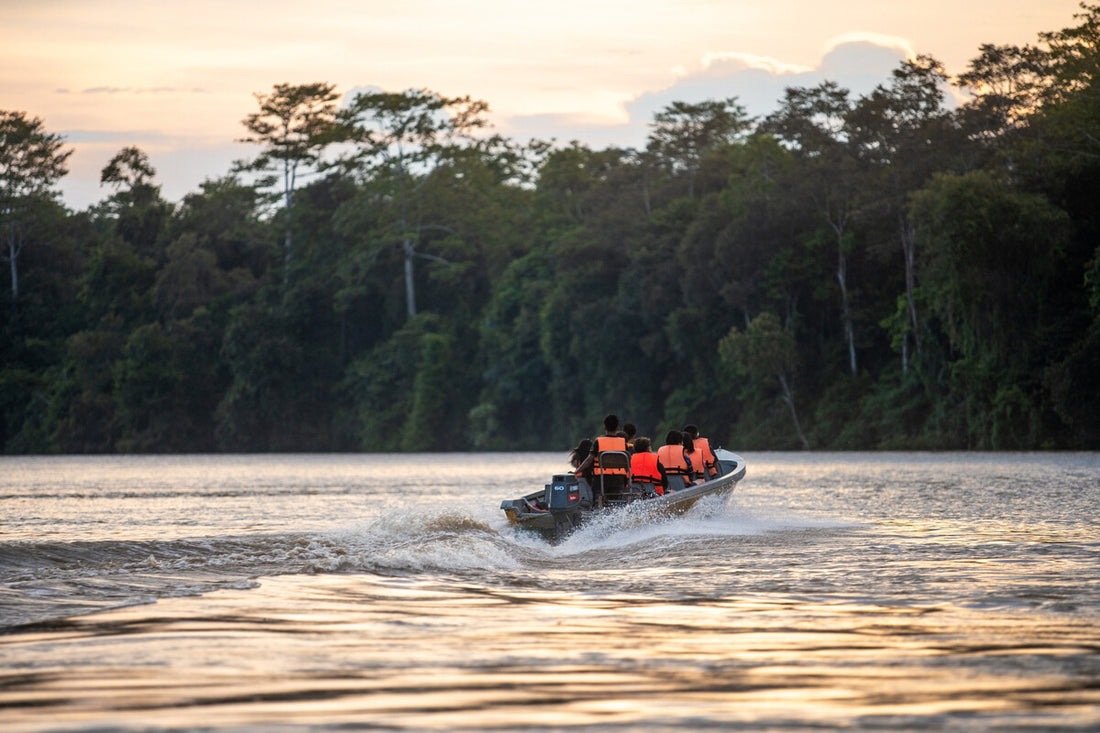 3D2N Selingan Turtle Island & Kinabatangan River Cruise Safari with Sepilok Orangutan & Bornean Sun Bear