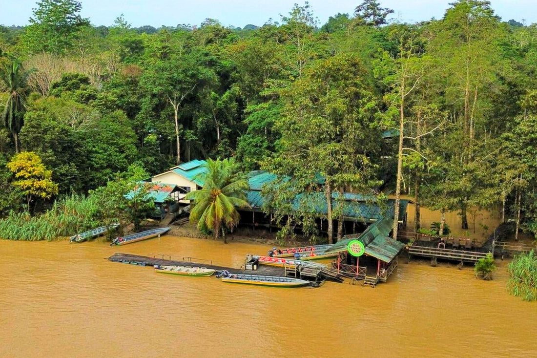 2D1N Kinabatangan River Cruise Safari With Bilit Adventure Lodge Stay